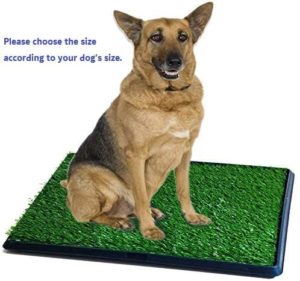 Synturfmats Pet Potty Patch Training Pad