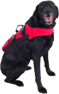 NRS CFD Dog Life Jacket