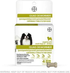 Bayer Quad Chewable Dewormer
