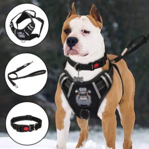 Dog Harness No-Pull Dog Vest Set