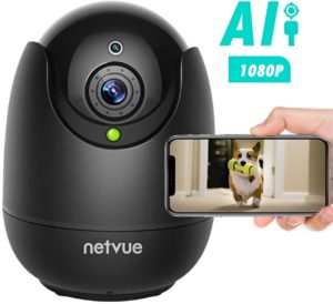 Home Camera with Human Detection