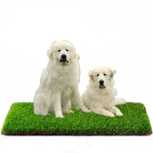 Artificial Grass, Professional Outdoor Grass