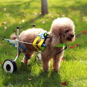 Two Wheels Adjustable Dog Wheelchair