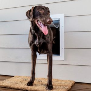 PetSafe Wall Entry Pet Door for Dogs and Cats