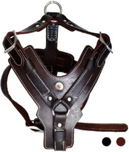 Leather Dog Harness Handmade