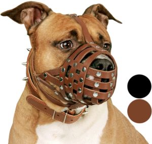 Dog Muzzle Leather Amstaff Muzzles