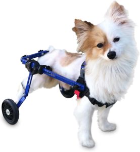 Wheels Dog Wheelchair
