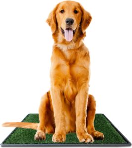 Dog Potty Grass Pee Pad