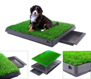 BringerPet Indoor Puppy Dog PET Potty