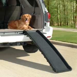 PetSafe Happy Ride Folding Dog Ramp