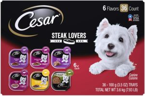 Cesar Gourmet Wet Dog Food