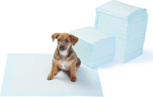 Dog and Puppy Pee, Potty Training Pads