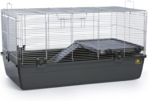 Small Animal Home, Dark Gray