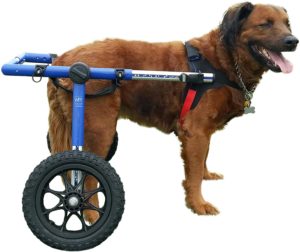 Wheels Dog Wheelchair - for Large Dogs