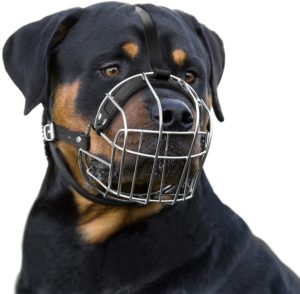 Dog Muzzle Wire Basket Rottweiler