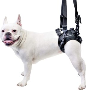 Walkin'’ Lift Rear Dog Support Harness