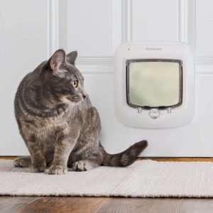 PetSafe Interior and Exterior Cat Door