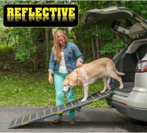 Extra Wide Portable Pet Ramp for Dogs