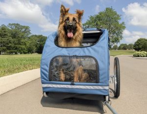Pet Bicycle Trailer For Dogs