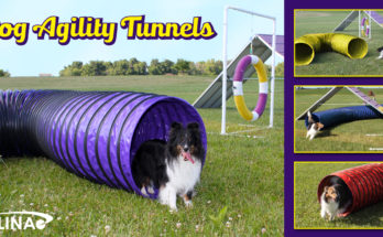 Best Dog Agility Tunnels