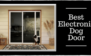 Best-Electronic-Dog-Door