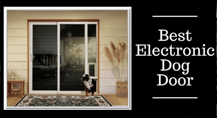 Best-Electronic-Dog-Door