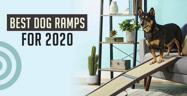 Best dog ramps