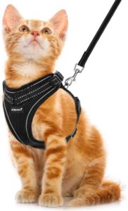 Cat Harness and Leash Set