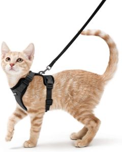 Cat Harness and Leash for Walking
