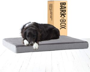 Memory Foam Platform Dog Bed