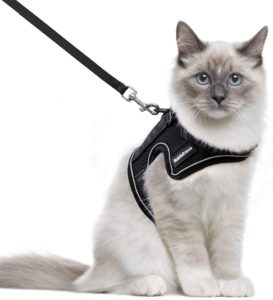 Cat Harness and Leash for Walking