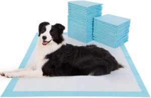 Large Pet Training and Puppy Pads