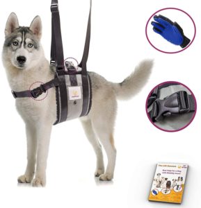 Veterinarian Approved Dog Support Harness