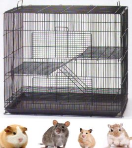 Hamster Suger Glider Gerbil Rats Mouse