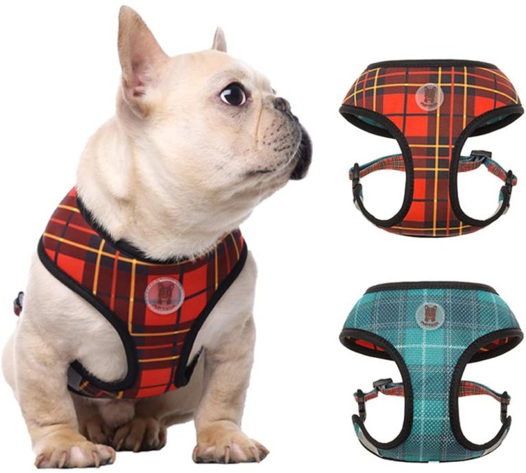10 Best French Bulldog Harness Reviews 2020