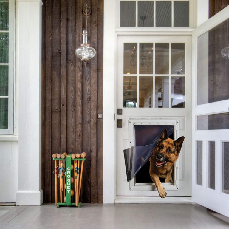 10 Best Dog Door For Cold Weather 2020 Reviews
