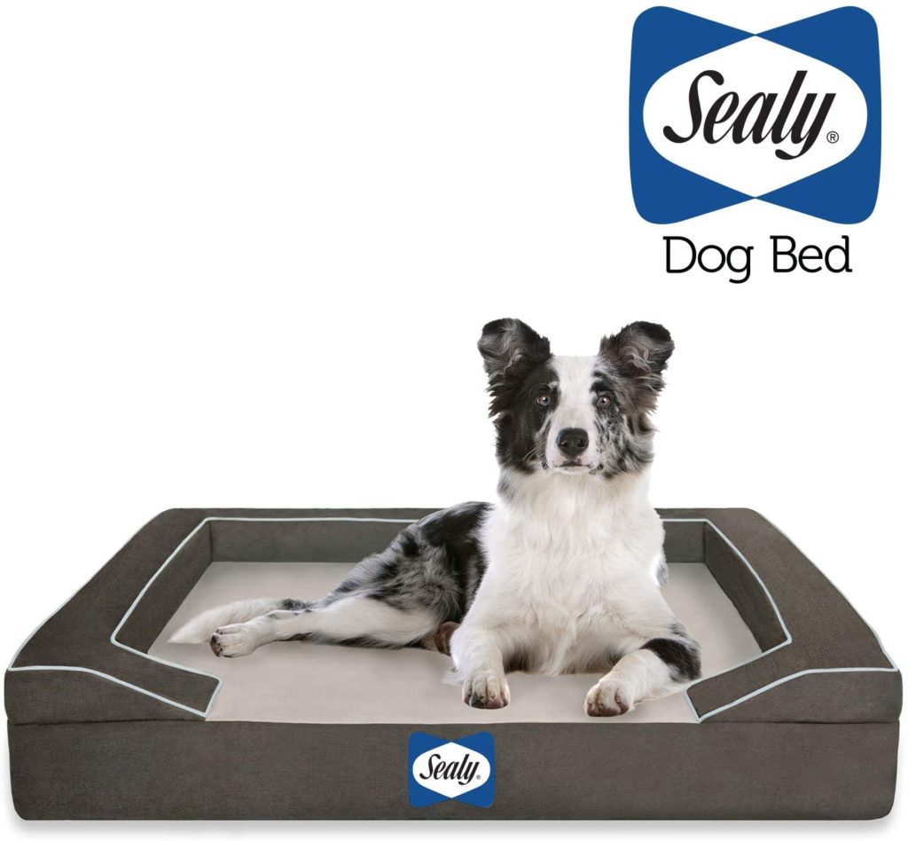 10 Best Indestructible Dog Bed Reviews 2020