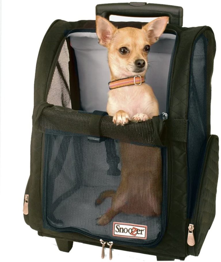 Top 10 Motorcycle Pet Carrier Reviews 2020